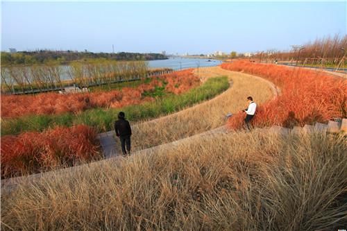 中國(guó)“城市海綿”—— 金華燕尾洲獲2015世界最佳景觀獎(jiǎng)